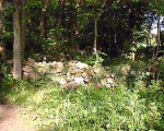 05.jpg