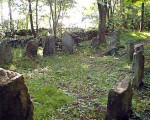 08.jpg