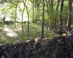 09.jpg
