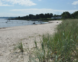 Melsted_5.JPG