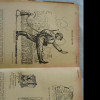 karikaturer_1935-45_11.jpg